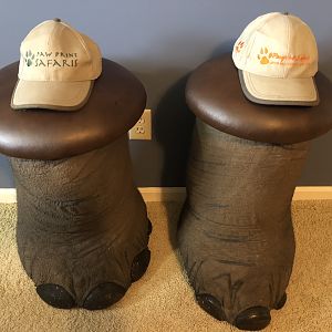 Elephant stools from my Pawprint Safari hunt