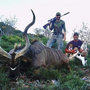 Hunting Cape Kudu South Africa 3S Safaris