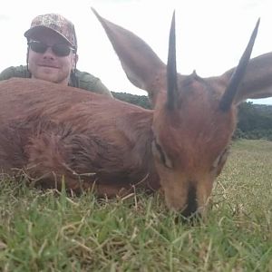 Hunting Steenbok South Africa 3S Safaris