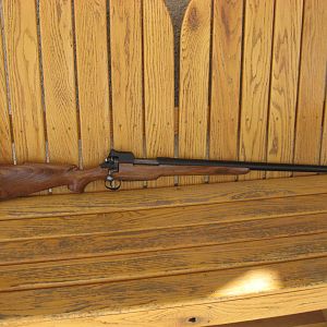 P14 Enfield in 50 Alaskan Rifle