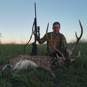 Argentina Hunting Axis Deer