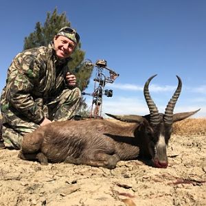 Black Springbok Bow Hunting in South Africa