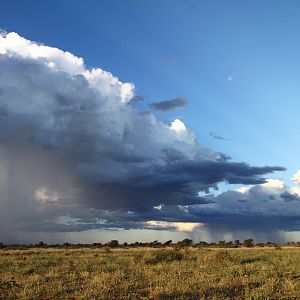 2018 Father and sons safari Thunderstorms