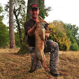 France Hunting Fox