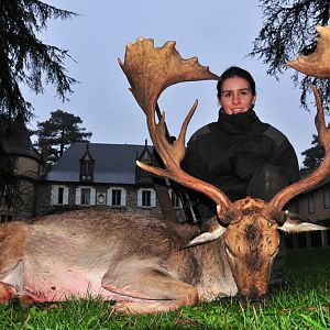 Hunt Fallow Deer France