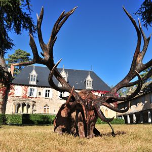 Red Stag Hunt in France