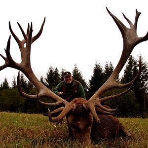 Red Stag Hunt in France