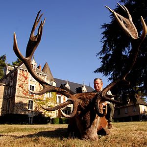 France Hunting Red Stag