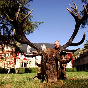 Hunting Red Stag France