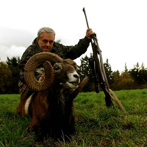 Mouflon Hunting in France