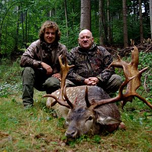 France Hunt Fallow Deer