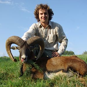 Hunt Mouflon France