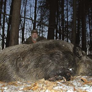Wild Boar Hunting in France