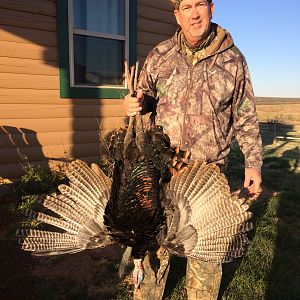 Texas Hunting Turkey