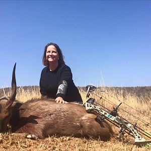 South Africa Bow Hunting Bushbuck
