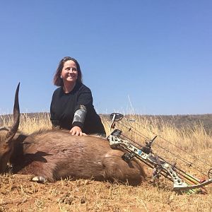 Bushbuck Bow Hunting South Africa