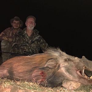 Hunting Bushpig in South Africa