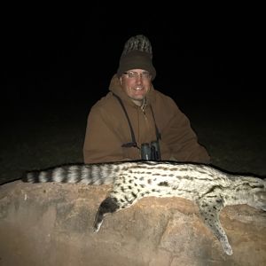 South Africa Hunting Genet Cat