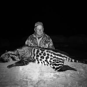 African Civet Cat Hunting South Africa
