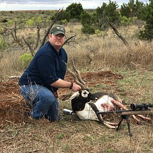Hunt Blackbuck in Texas