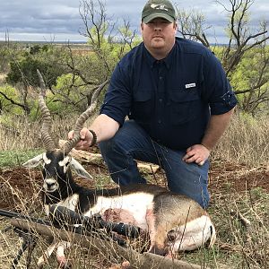 Blackbuck Hunt Texas