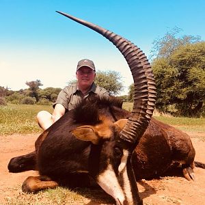 South Africa Hunt Sable Antelope