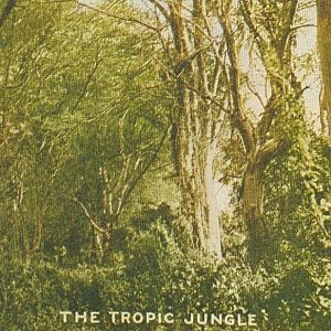 Tropic Jungle