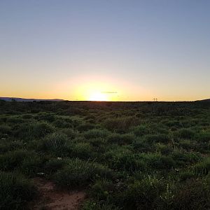 Sunrise South Africa