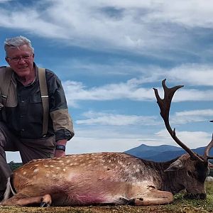 Fallow Deer Hunting in South Africa