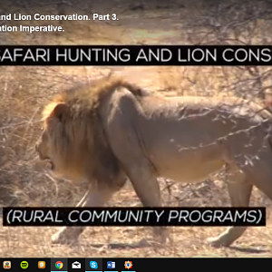 Ethical Safari Hunting and Lion Conservation. Part 3