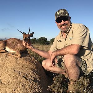Steenbok Hunting South Africa 3S Safaris
