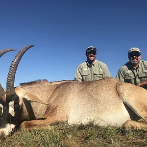 Roan Hunting South Africa 3S Safaris