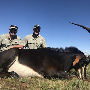 Sable Hunting South Africa 3S Safaris