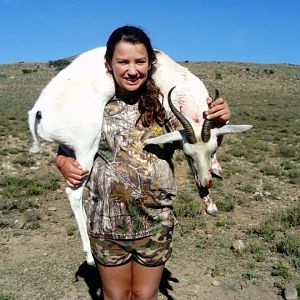 South Africa Hunting White Springbok