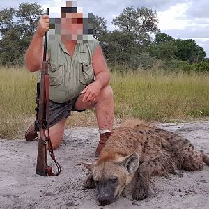 Spotted Hyena Hunt in Namibia
