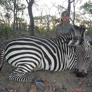 Grant's Zebra Hunting in Mozambique