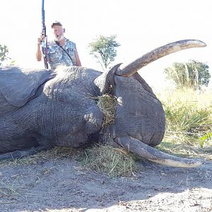 Namibia Hunting Elephant