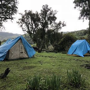 Fly Camp - A series of seven tents