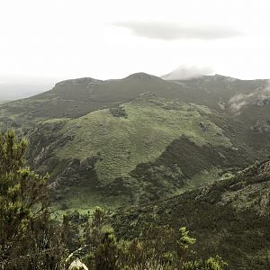 Ethiopia Hunt