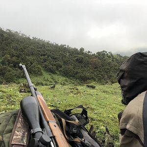 Ethiopia Hunting