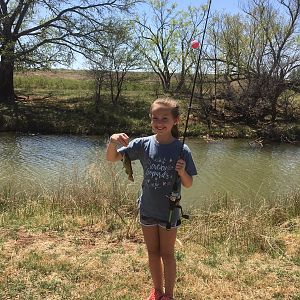 Fishing at the Lake & the Creek