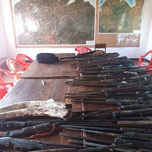Recoveries from poachers 2017