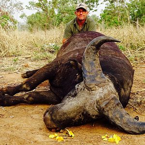 Hunting West African Savannah Buffalo Benin