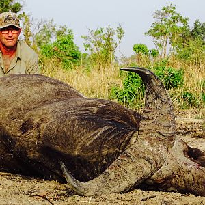 Hunt West African Savannah Buffalo Benin