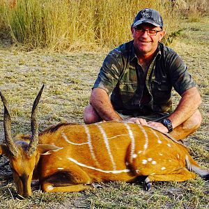 Benin Hunting Harnessed Bushbuck