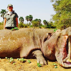 Hunt Hippo Benin