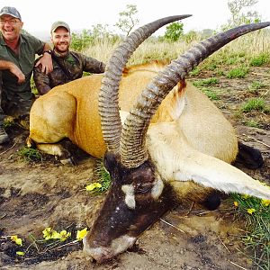 Benin Hunting Roan Antelope