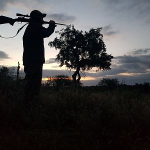 Hunting in KwaZulu Natal South Africa