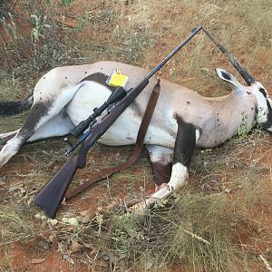 Rigby .275 in action in Namibia