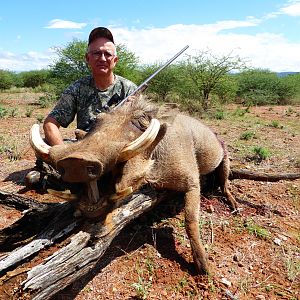 Warthog Hunting Namibia